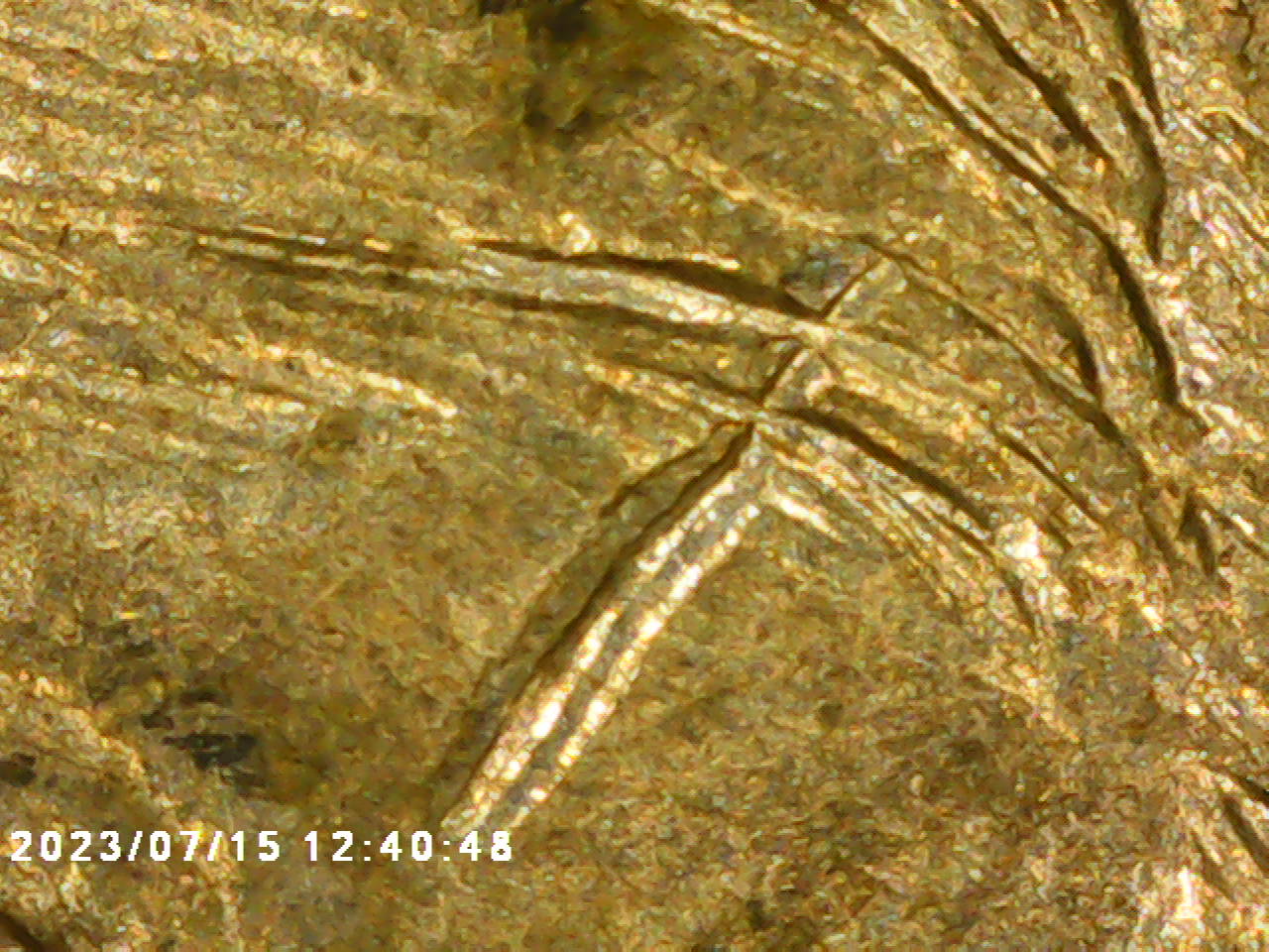 2007-P-Sacagawea-Dollar-With-A-Wounded-Head